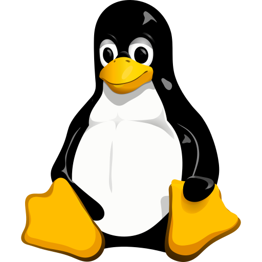 OS